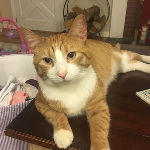 Meet your Posher, Jill